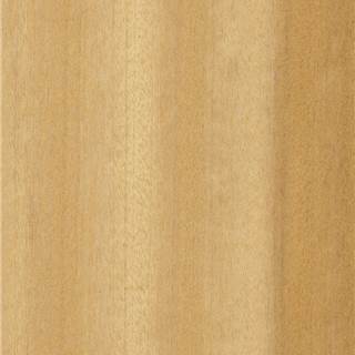 金丝柚 Golden Teak